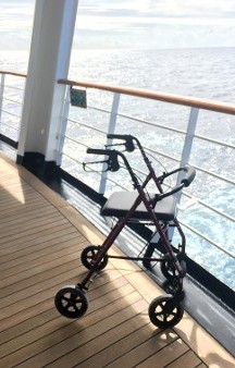 Free2Go Rollator Free2Go Rollator