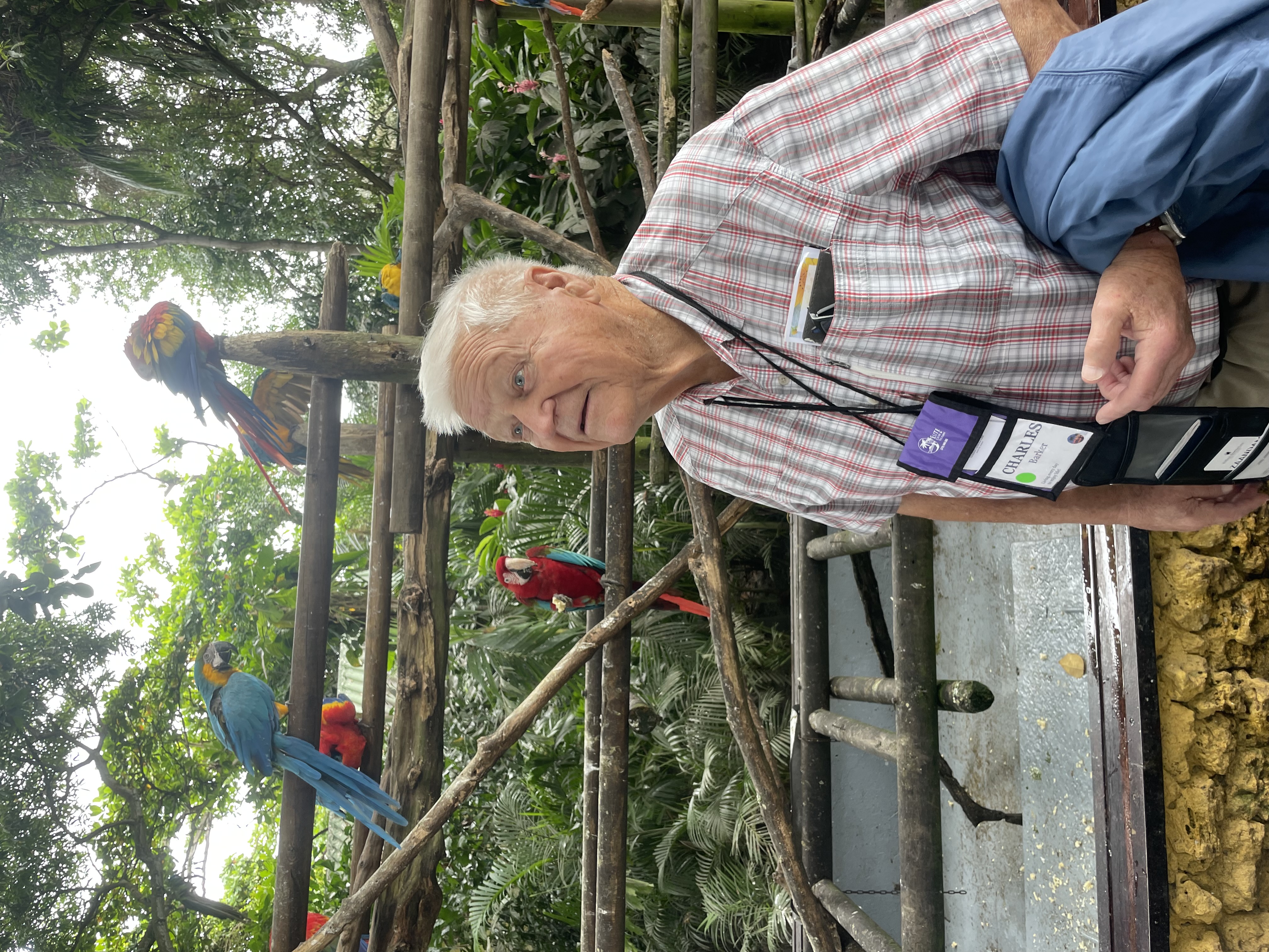 Elite Cruises Parrots in Colombia Elite Cruises Parrots in Colombia