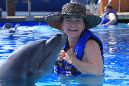 Elite Cruises Dolphin Excursion Elite Cruises Dolphin Excursion