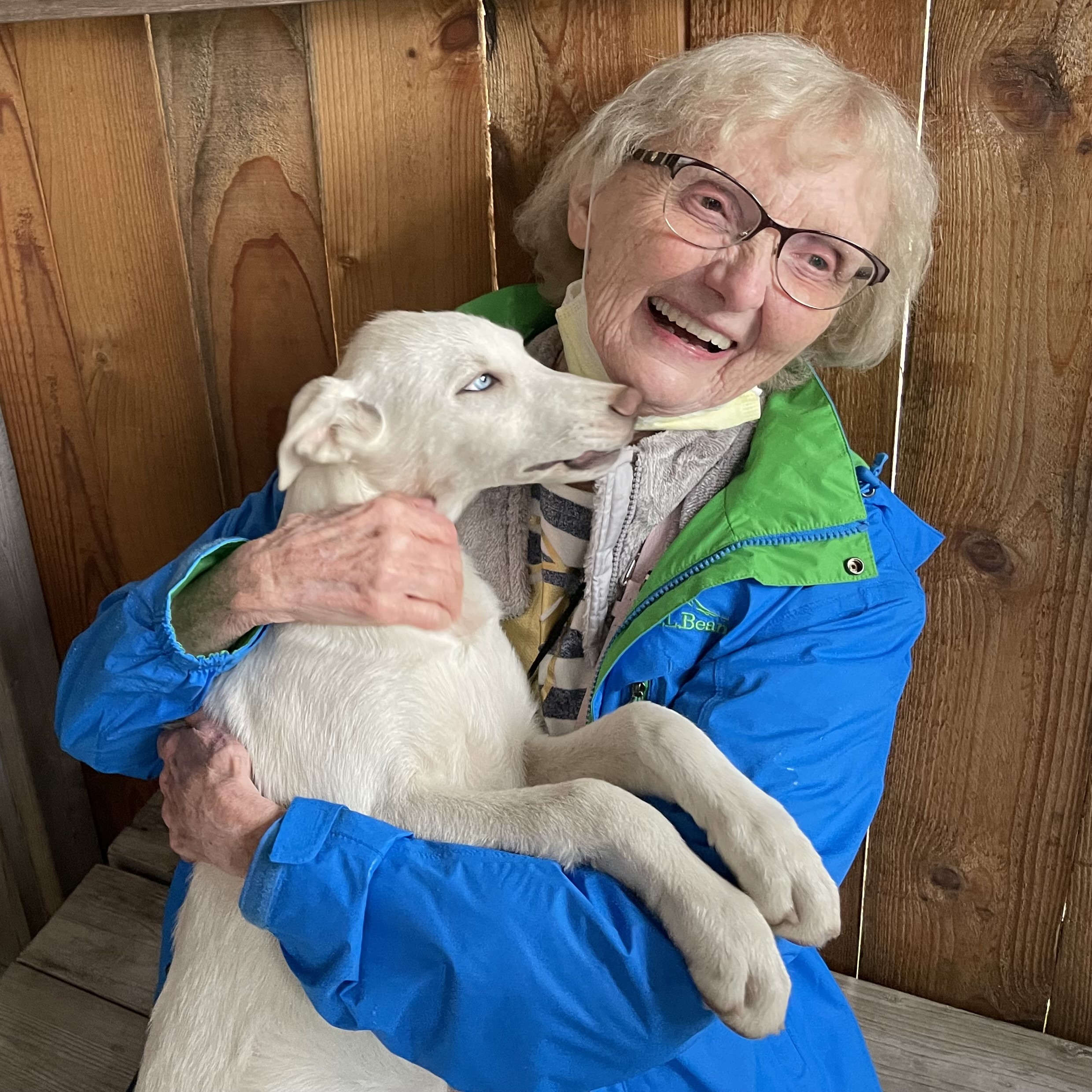 Woman with a Sled Dog